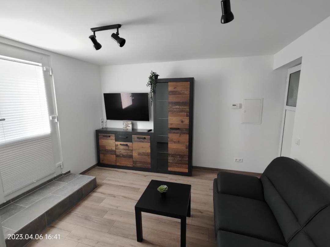 Ferienwohnung Wildgans 2 Dollart Ostfriesland Ditzumerverlaat Zewnętrze zdjęcie